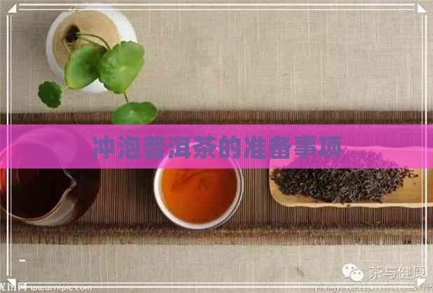 冲泡普洱茶的准备事项