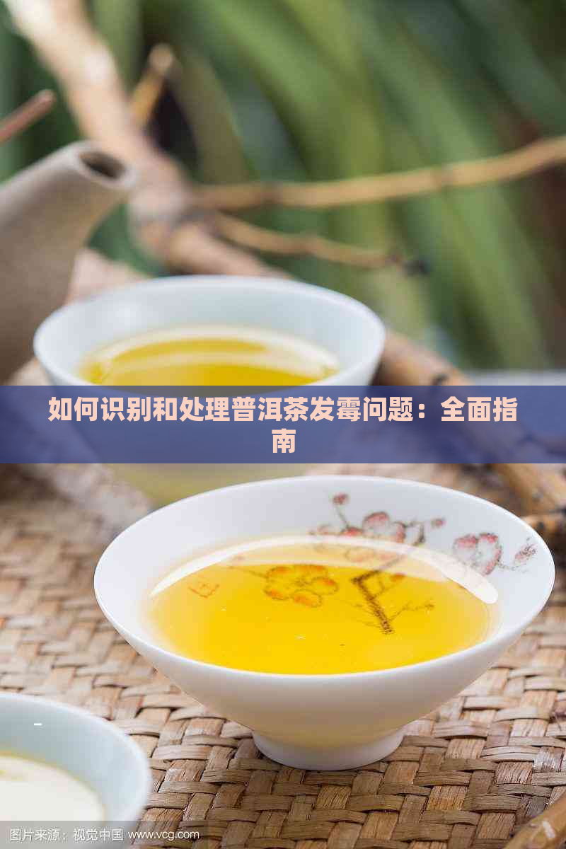 如何识别和处理普洱茶发霉问题：全面指南