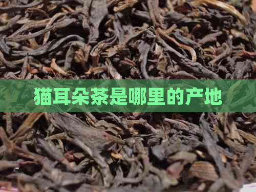 猫耳朵茶是哪里的产地