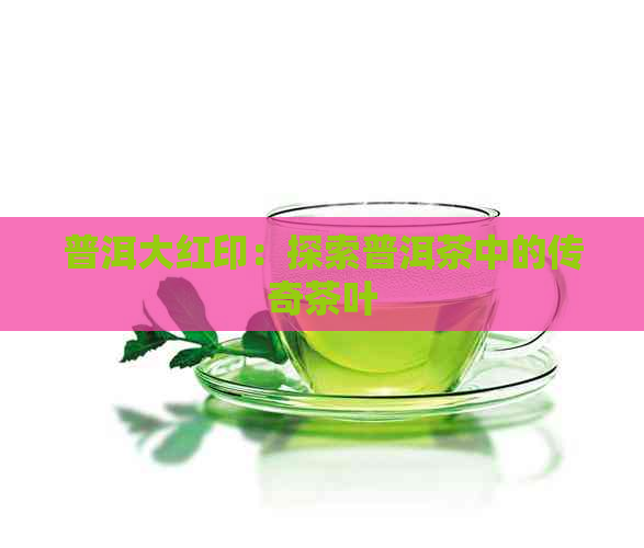 普洱大红印：探索普洱茶中的传奇茶叶