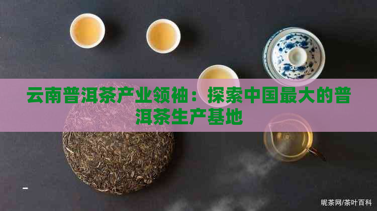 云南普洱茶产业领袖：探索中国更大的普洱茶生产基地