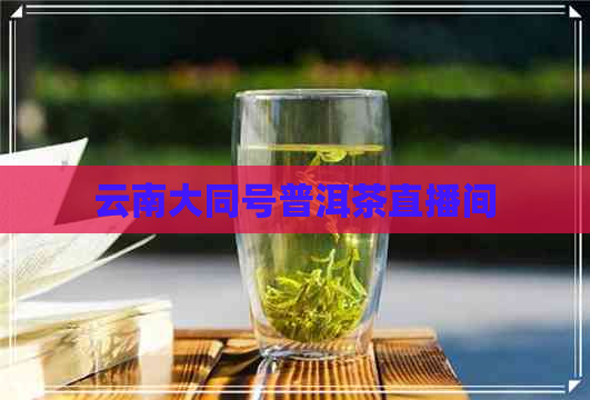 云南大同号普洱茶直播间