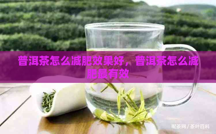 普洱茶怎么减肥效果好，普洱茶怎么减肥最有效