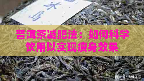 普洱茶减肥法：如何科学饮用以实现瘦身效果