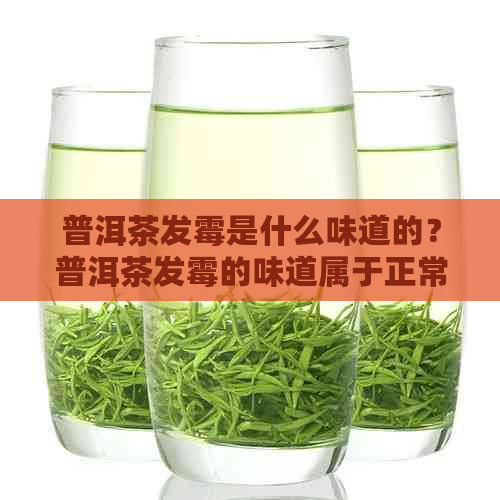 普洱茶发霉是什么味道的？普洱茶发霉的味道属于正常吗？