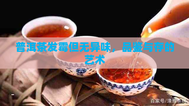 普洱茶发霉但无异味，品鉴与存的艺术