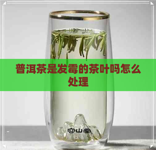 普洱茶是发霉的茶叶吗怎么处理