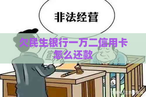 欠民生银行一万二信用卡怎么还款