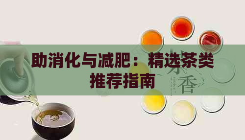 助消化与减肥：精选茶类推荐指南