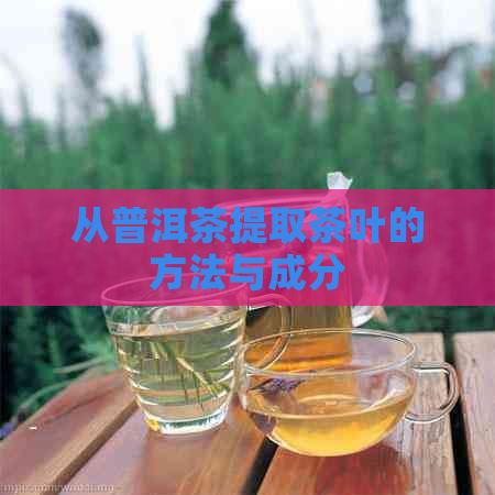 从普洱茶提取茶叶的方法与成分