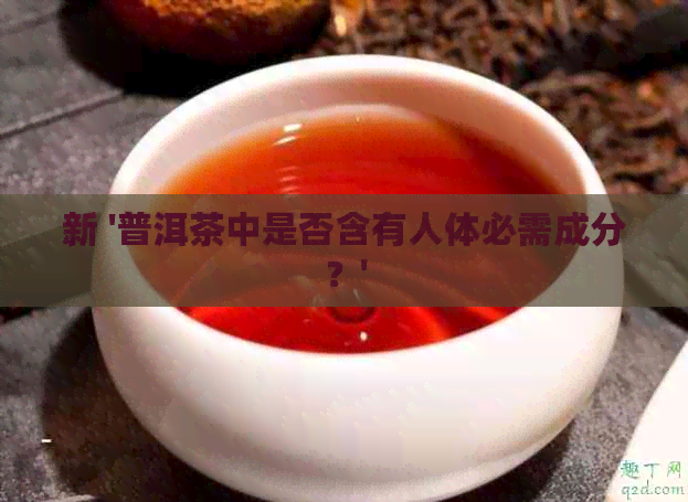 新 '普洱茶中是否含有人体必需成分？'