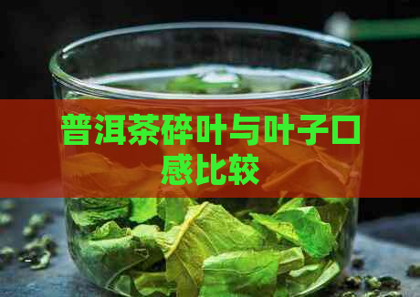 普洱茶碎叶与叶子口感比较