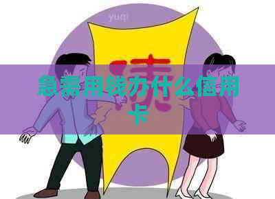 急需用钱办什么信用卡