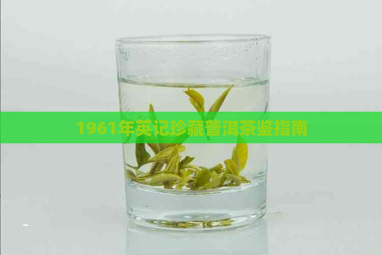 1961年英记珍藏普洱茶鉴指南