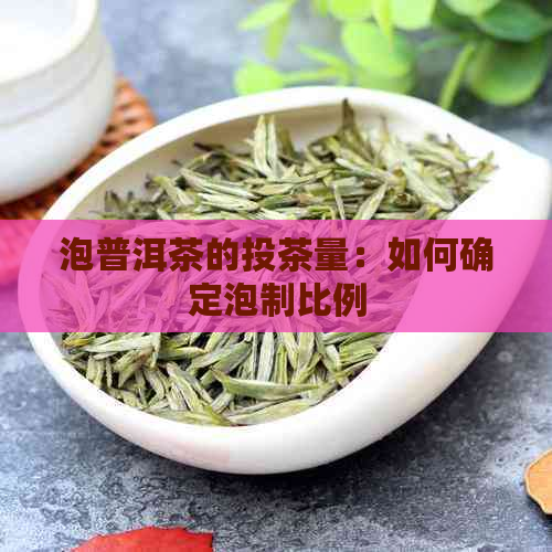 泡普洱茶的投茶量：如何确定泡制比例