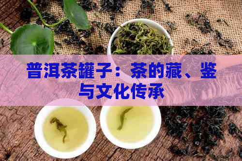 普洱茶罐子：茶的藏、鉴与文化传承