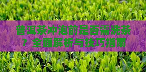 普洱茶冲泡前是否需洗茶？全面解析与技巧指南