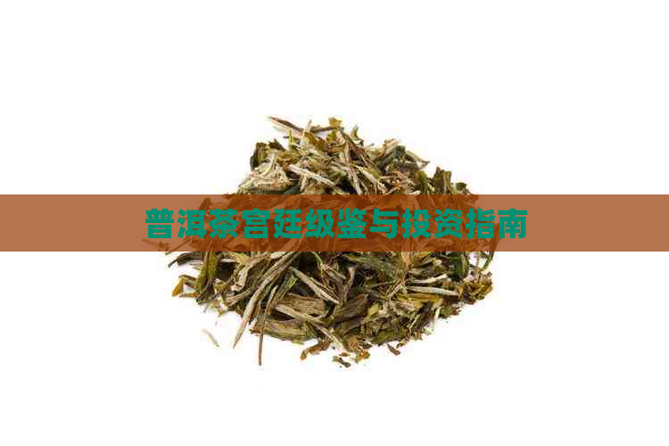 普洱茶宫廷级鉴与投资指南