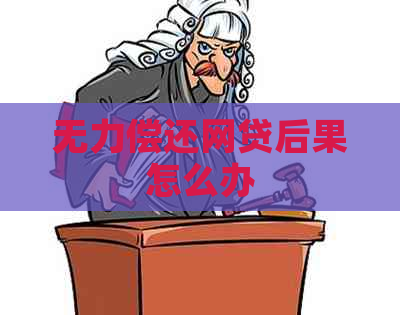 无力偿还网贷后果怎么办