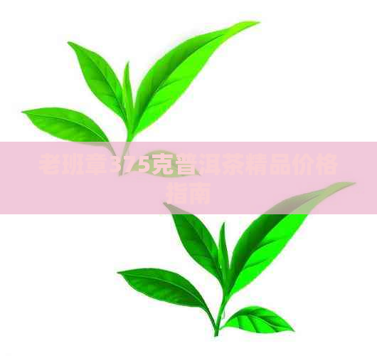 老班章375克普洱茶精品价格指南