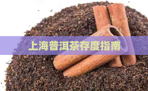 上海普洱茶存度指南