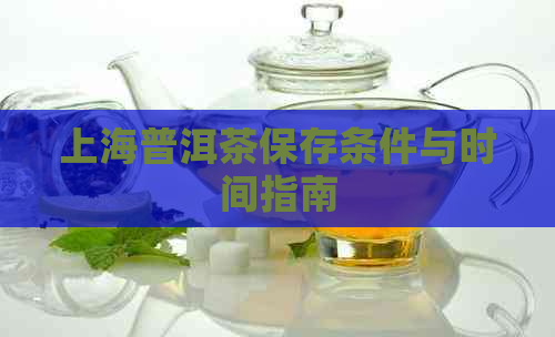 上海普洱茶保存条件与时间指南