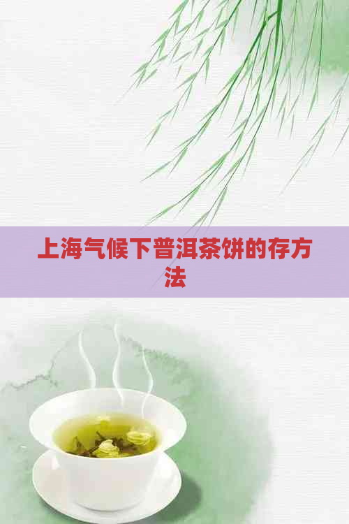 上海气候下普洱茶饼的存方法