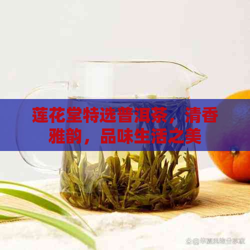 莲花堂特选普洱茶，清香雅韵，品味生活之美