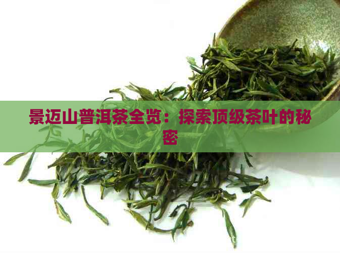 景迈山普洱茶全览：探索顶级茶叶的秘密