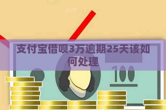 支付宝借呗3万逾期25天该如何处理