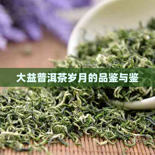 大益普洱茶岁月的品鉴与鉴