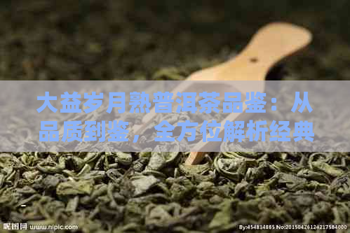 大益岁月熟普洱茶品鉴：从品质到鉴，全方位解析经典茶品的魅力