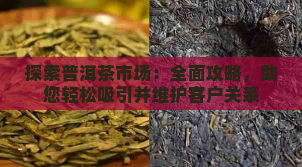 探索普洱茶市场：全面攻略，助您轻松吸引并维护客户关系