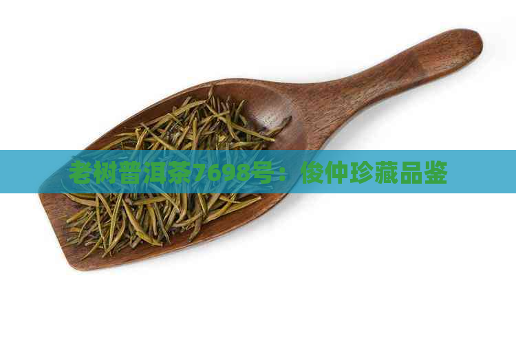 老树普洱茶7698号：俊仲珍藏品鉴