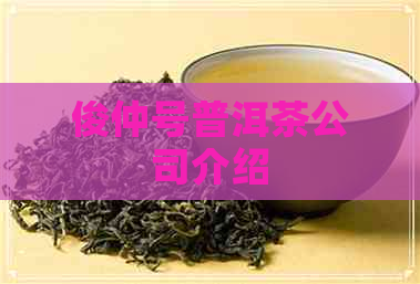 俊仲号普洱茶公司介绍