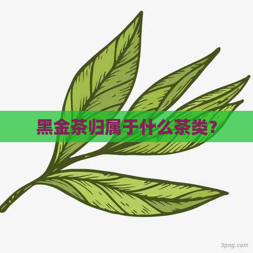 黑金茶归属于什么茶类？