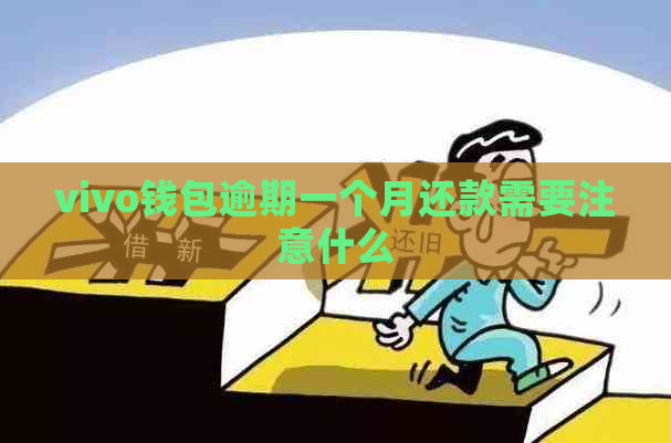 vivo钱包逾期一个月还款需要注意什么