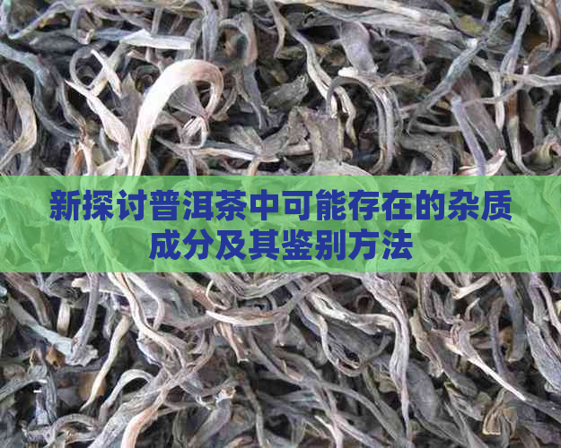 新探讨普洱茶中可能存在的杂质成分及其鉴别方法