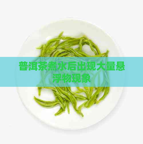 普洱茶煮水后出现大量悬浮物现象