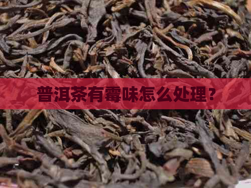 普洱茶有霉味怎么处理？