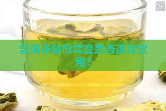 普洱茶轻微霉变是否适宜饮用？