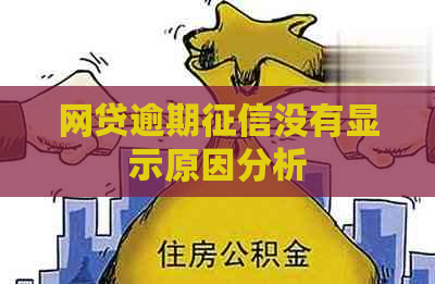 网贷逾期没有显示原因分析