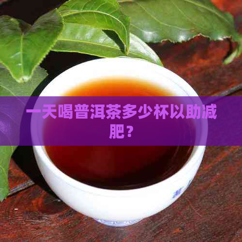 一天喝普洱茶多少杯以助减肥？