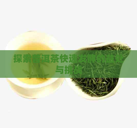 探索普洱茶快速发酵的益处与挑战