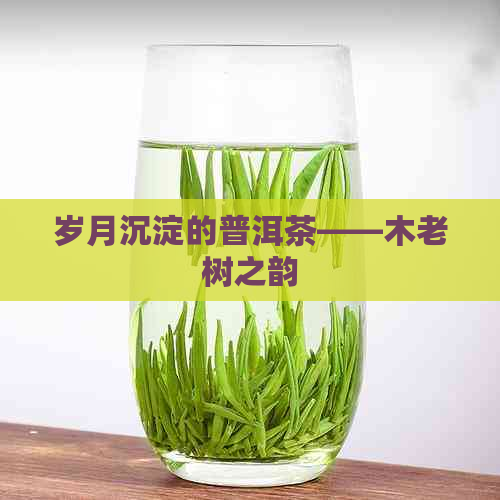 岁月沉淀的普洱茶——木老树之韵