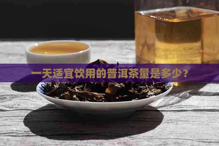 一天适宜饮用的普洱茶量是多少？