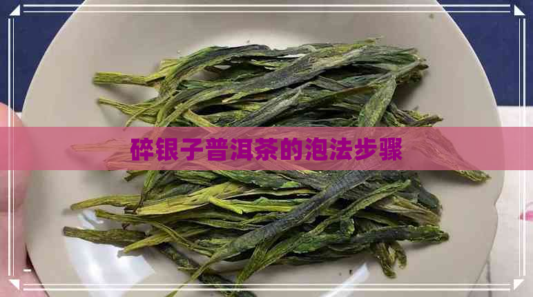 碎银子普洱茶的泡法步骤