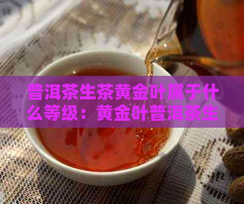 普洱茶生茶黄金叶属于什么等级：黄金叶普洱茶生茶好吗还是泡好喝？