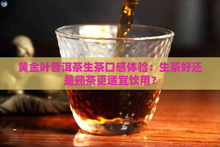 黄金叶普洱茶生茶口感体验：生茶好还是熟茶更适宜饮用？