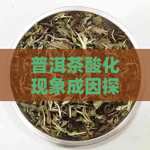 普洱茶酸化现象成因探讨